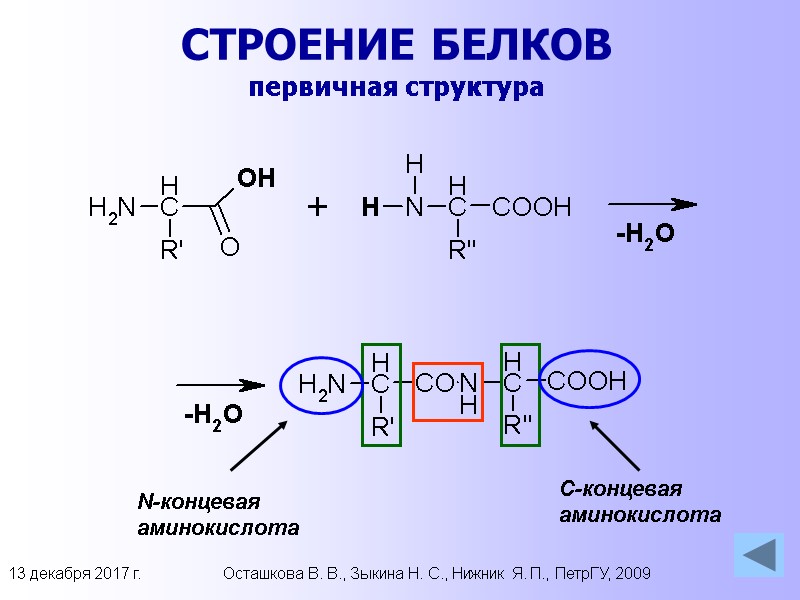 13 декабря 2017 г. Осташкова В. В., Зыкина Н. С., Нижник Я. П., ПетрГУ,